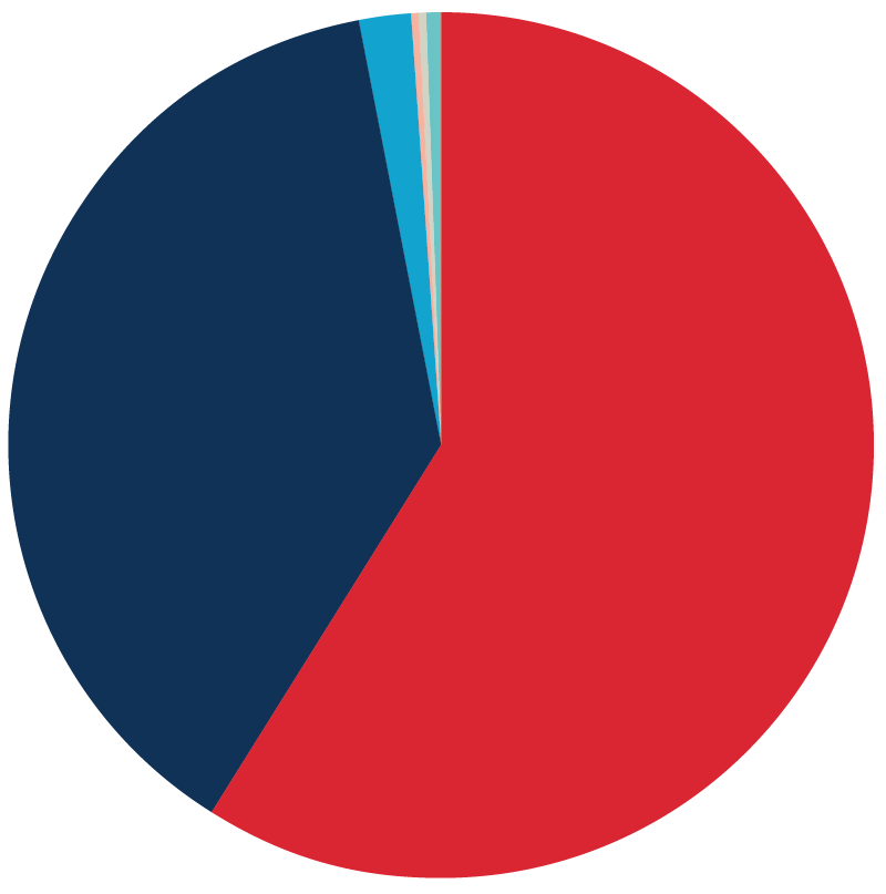 Chart showing where Saint Mary's Graduates go