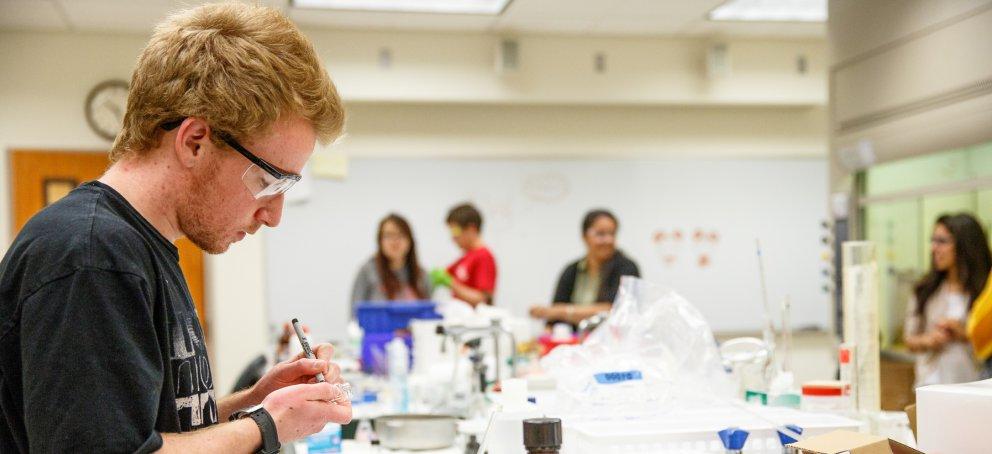 Students in a lab are conducting an experiment 