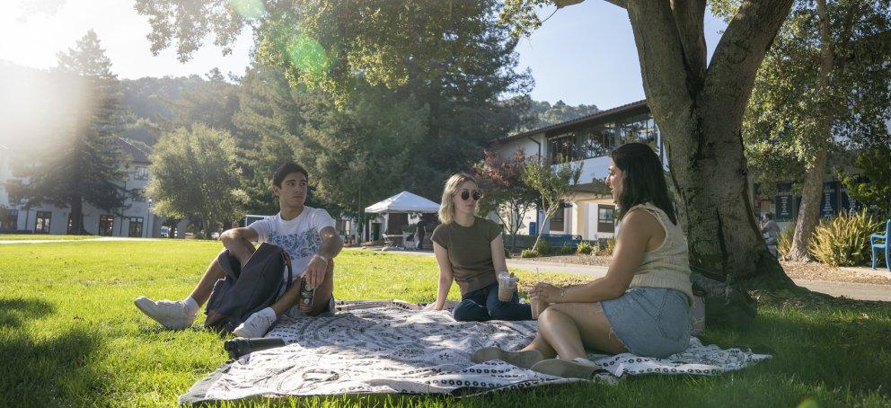 Three students sitting on a blanket on grass under a tree