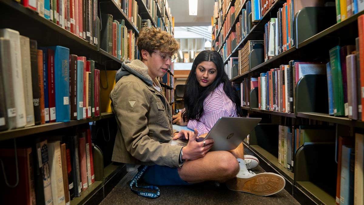 Students studying in the library